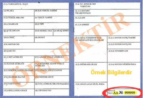 Ruhsat belge seri no örneği
